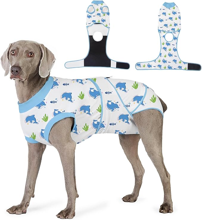 Recovery Suit for Dogs After Surgery, Professional Dog Surgical Suit for Female Spay, Male Neuter, E-Collar & Cone Alternative Dog Onesie for Abdominal Wounds Skin Disease, Blue, L