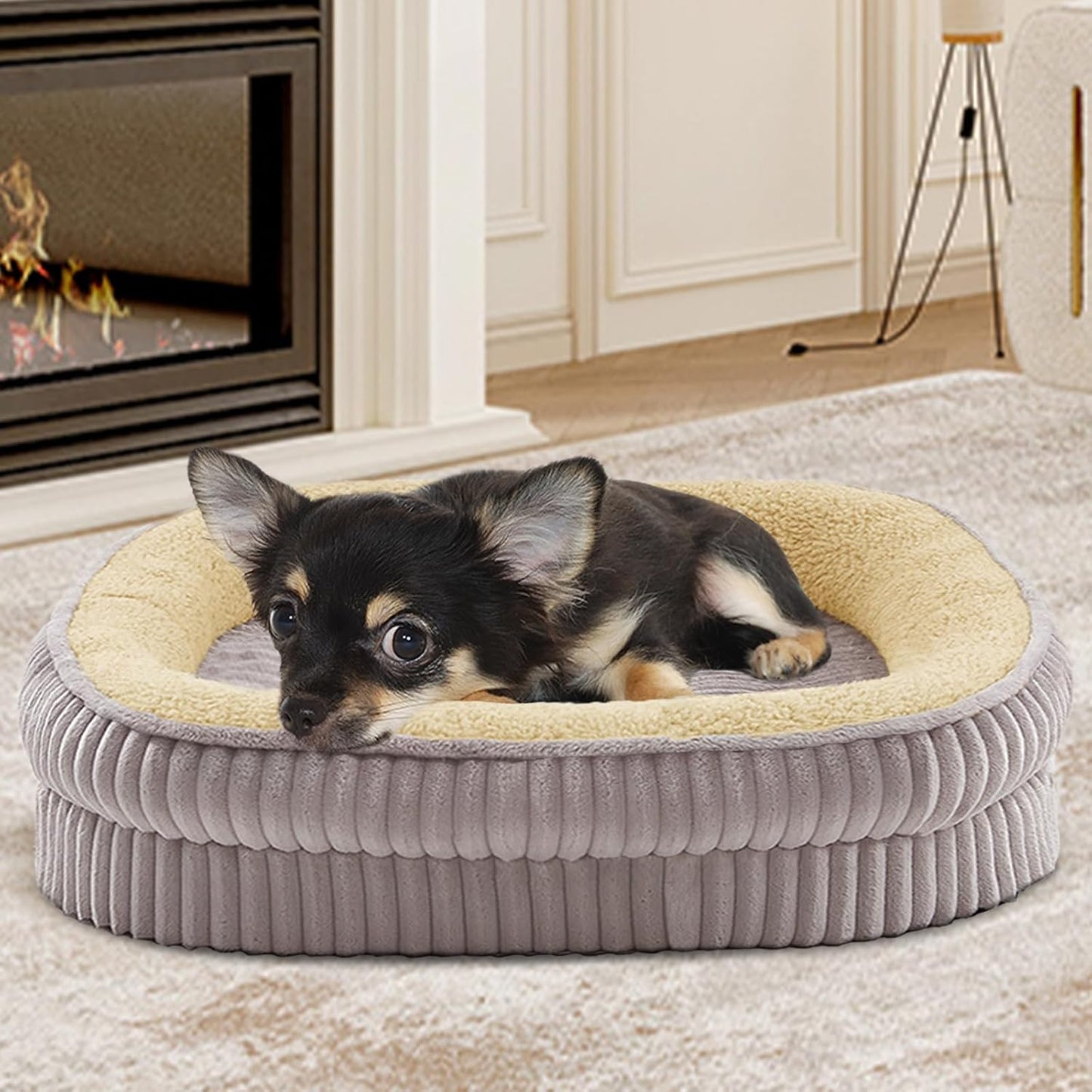 Orthopedic Dog Bed for Puppy,Extra Small Dogs Breeds,Oval Cat Bed,High Density Egg Crate Foam Dog Sofa Beds,Pet Couch Bed with Four Sided Bolster,Removable Washable Cover&Non-Slip Bottom