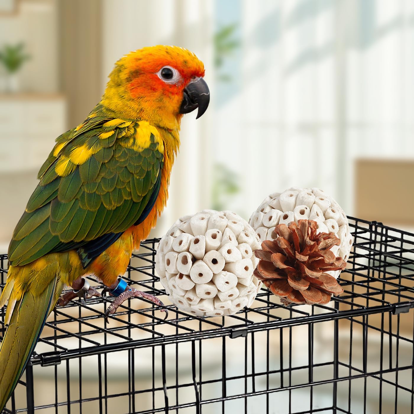 Kyouki Bird Toys Parrot Toys Natural Bird Foraging Box Foot for Parakeets,Cockatiels,Conures,Love Birds,and Other Small to Medium Birds (Medium)