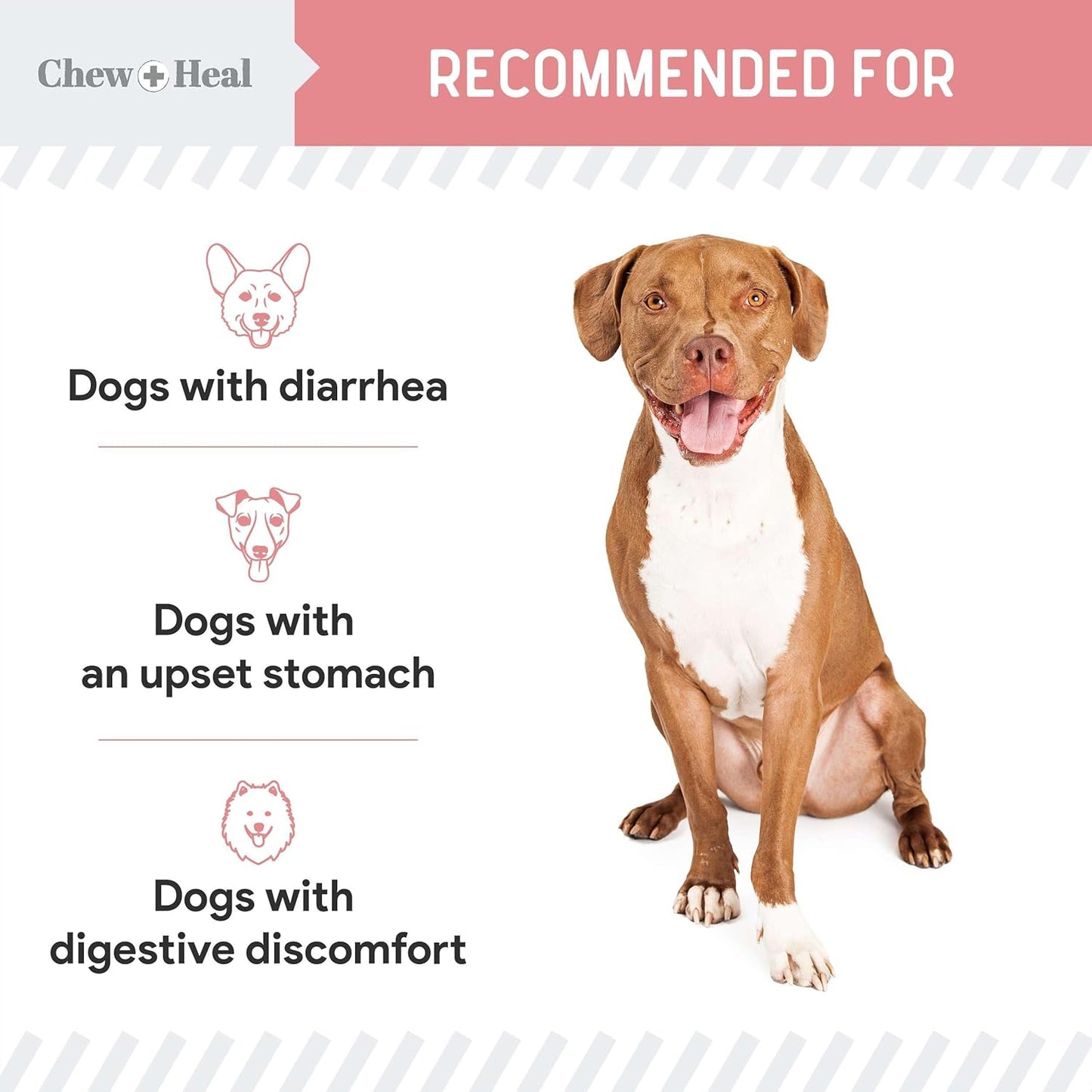 Chew + Heal Labs Anti Diarrhea for Dogs 2oz - Fast Relief Liquid Dog Diarrhea Supplement with Kaolin Pectin Formula - Effective Diarrhea Treatment and Dog Health Upset Stomach Supplement