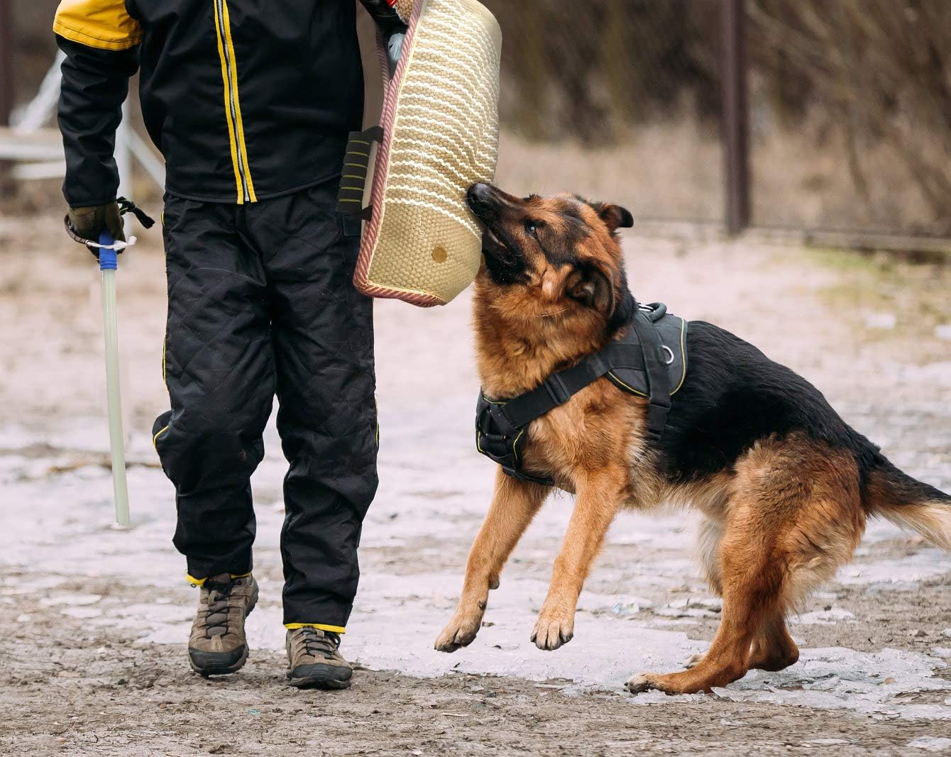 Dog Bite Training Set Professional Dog Bite Sleeve Arm with Whip Agitation Stick for Dogs Training Equipment Protection for Biting Playing Tugging Toy Interactive Pitbull German Shepherd Puppy K9