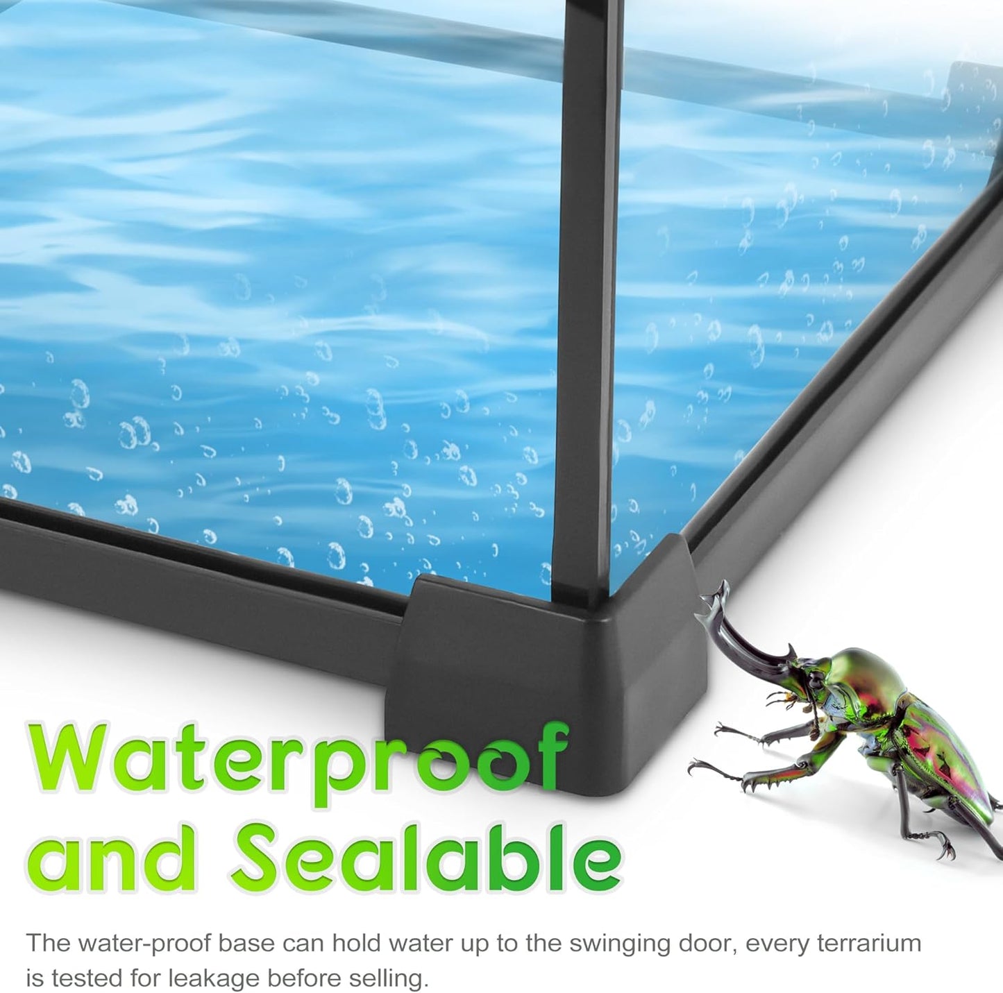 Mini Reptile Glass Terrarium 8"x8"x6" Durable Reptile Habitat Tank with Heat Resistant Aluminum Alloy Frame, Single Swinging Doors for no Jam by Sand and Other Debris