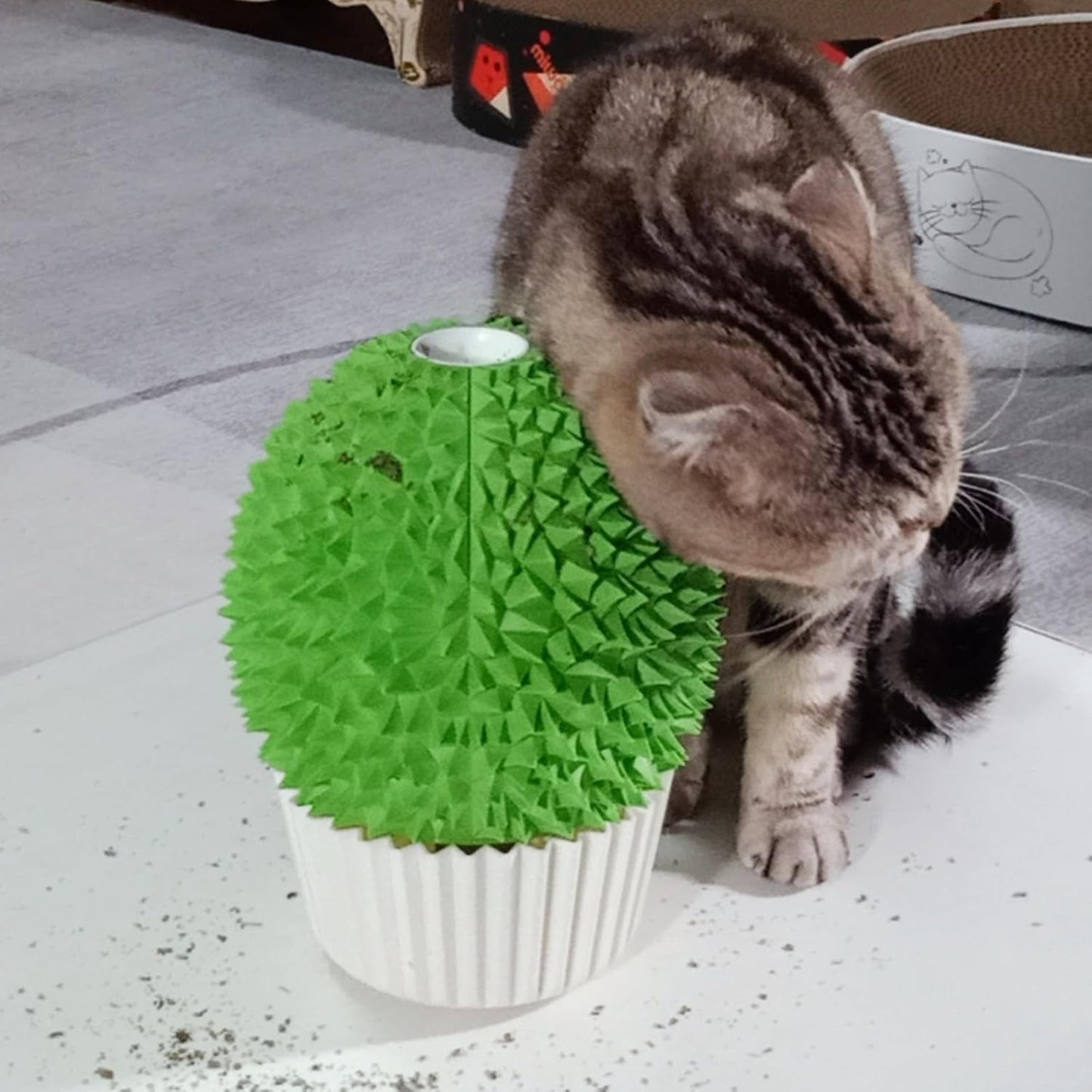 Catnip Feeder - Cat Face Scratcher Wall Corner Massage Comb for Indoor Cats Self Grooming Brush (Green)