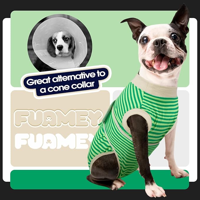 FUAMEY Dog Recovery Suit Male,Dogs Surgery Neuter Suits Puppy Spay Shirts for Female Protect Dog's Skin Anti Licking Abdominal Wounds Doggie Onesie Pet Bodysuit Alternative to Cone Green Stripes XL
