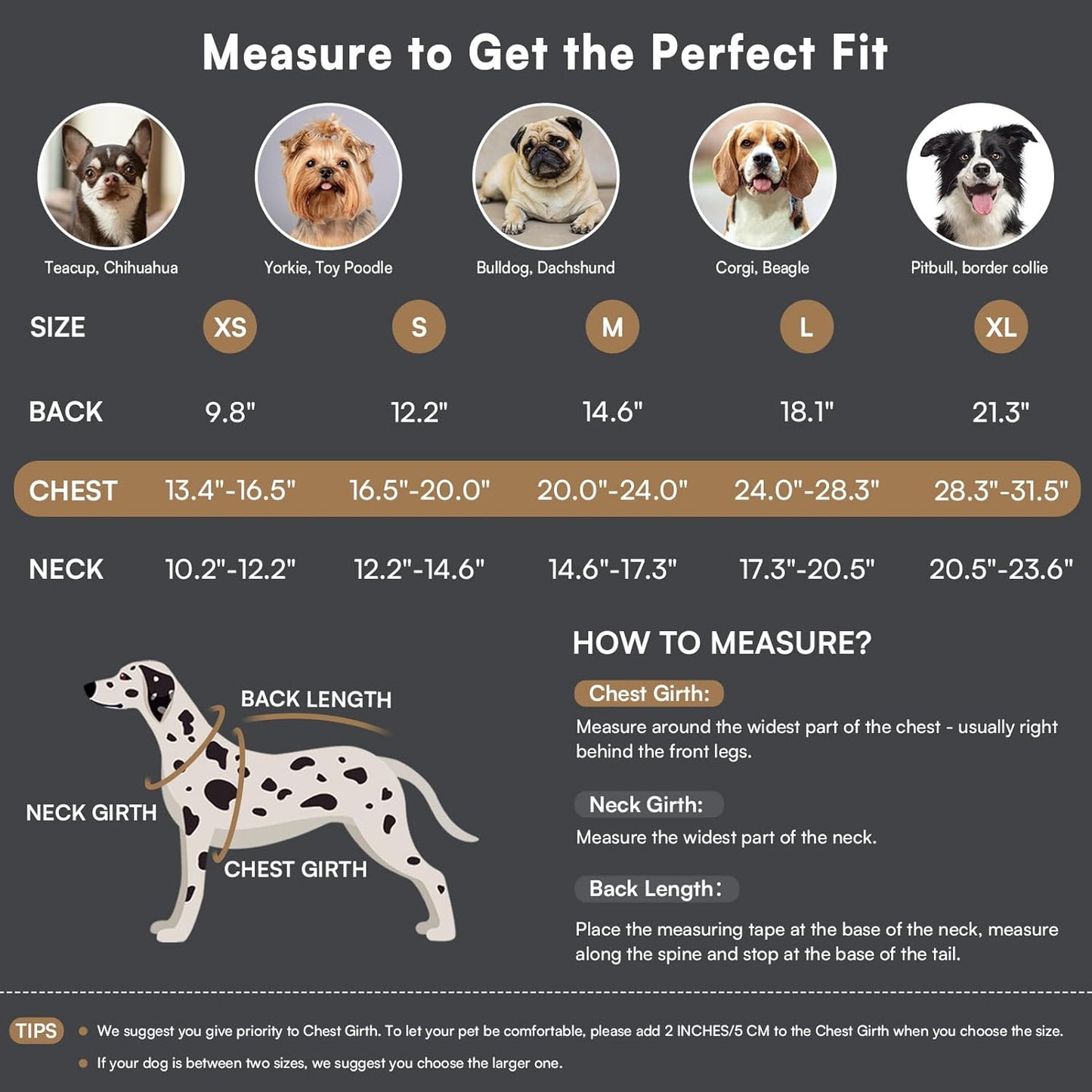 Queenmore Warm Dog Coat, Cold Weather Puffer Dog Coat Vest, Quilting Winter Pet Jacket Ultra Thick Plush Fleece Lining Pet Clothes for Dogs with Storage Pockets (Light Blue, Medium)