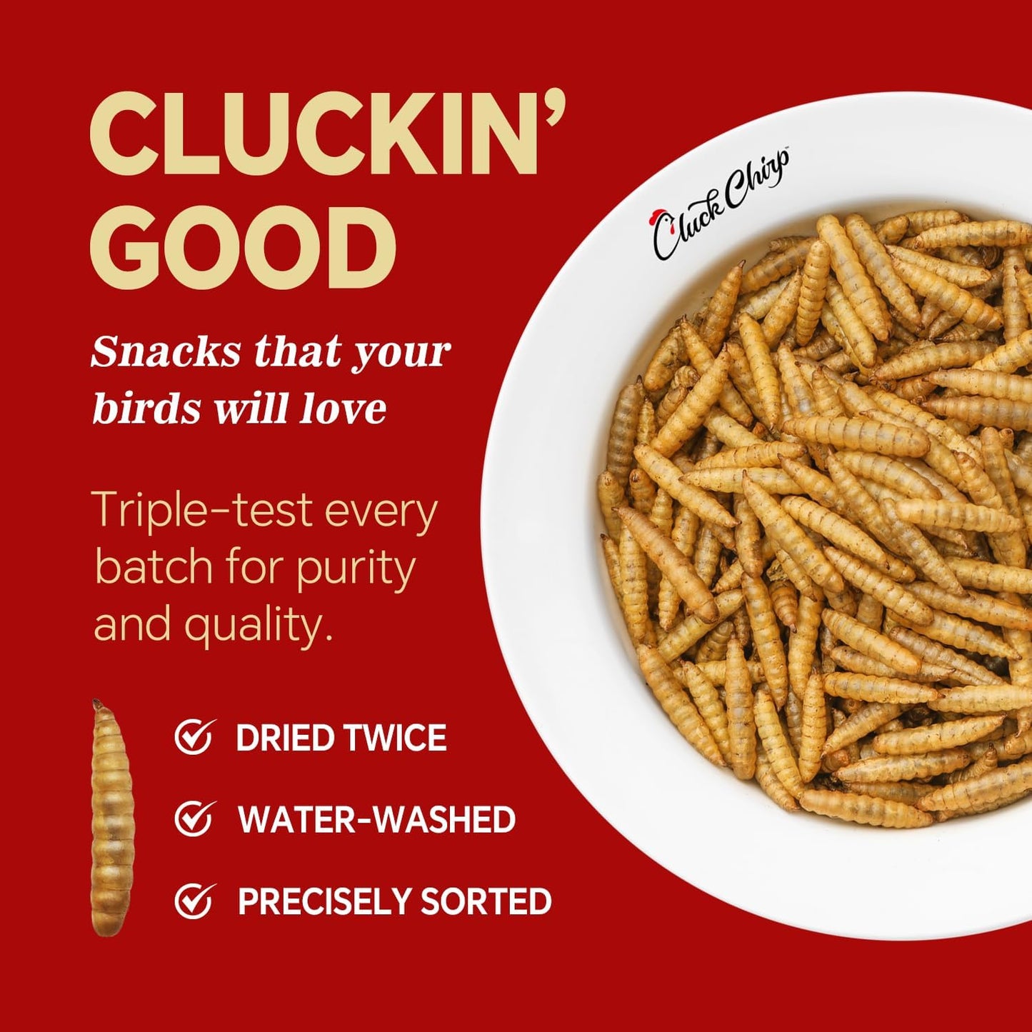 Dried Black Soldier Fly Larvae, Non-GMO, Natural Chicken Treats & High-Protein Poultry Snacks for Backyard Chickens, Laying Hens & Ducks, 2.5 lb Box