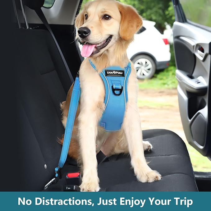 Dog Seat Belt Harness for Car, Dog Car Harness Adjustable Mesh Breathable & Dogs Seatbelt Safety Tether with Elastic Bungee for Small Medium Large Pets(Blue, L)