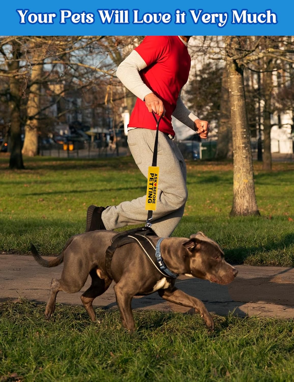 Ask Before Petting Dog Leash Sleeve, Funny Yellow Dog Leash Wrap Alert Hanging ID Patch Tag, Do Not Pet Velcro Patch Service Dog Leash Sleeve Pet Birthday Gifts for Dog Owners