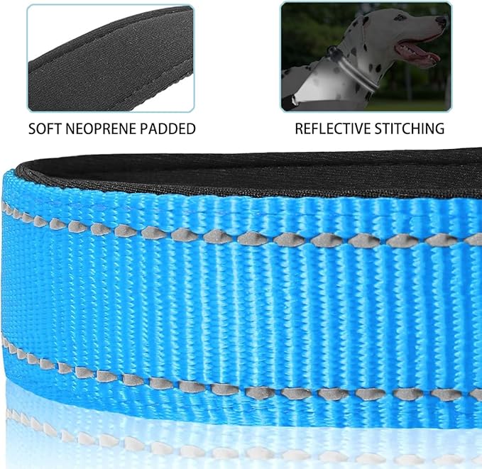 JSXD AirTag Dog Collar, Night Reflective Nylon Dog Collar for Small Medium Large Dogs,Lockable Quick Release Buckle,Padded Breathable Pet Collar with AirTag Holder (Blue, Small)