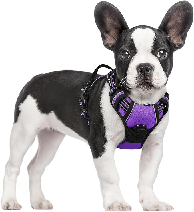 rabbitgoo Dog Harness No Pull with 2 Leash Clips, Adjustable Soft Padded, Reflective Oxford No Choke Pet Vest with Easy Control Handle for Small Dogs, Purple, S