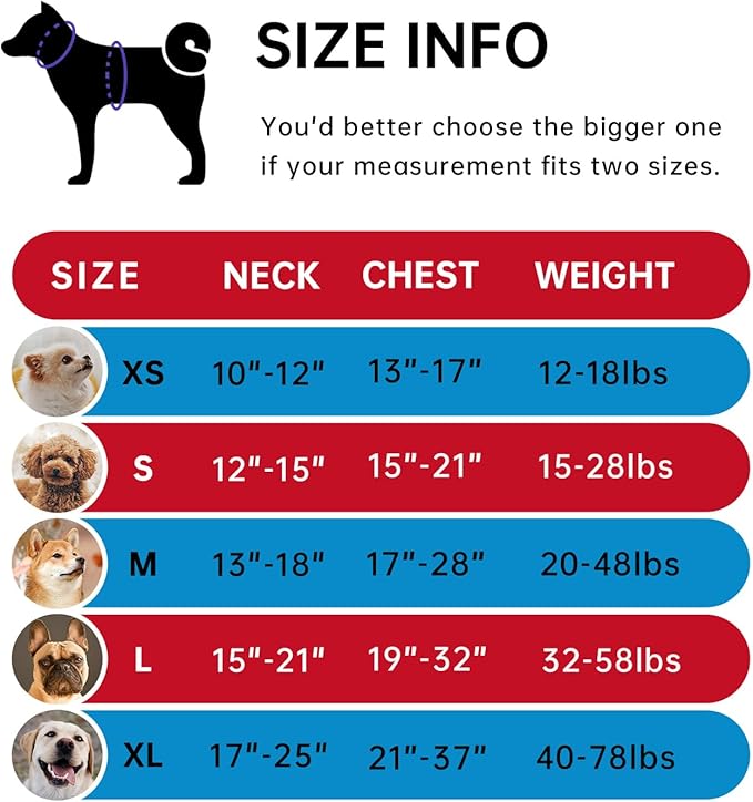 IVY&LANE No Pull Dog Harness for Medium Dogs, Dog Vest Harness with Leash, Safety Belt and Storage Strap, Fully Adjustable, 360 Reflective Strip, Soft Handle (Red, M)