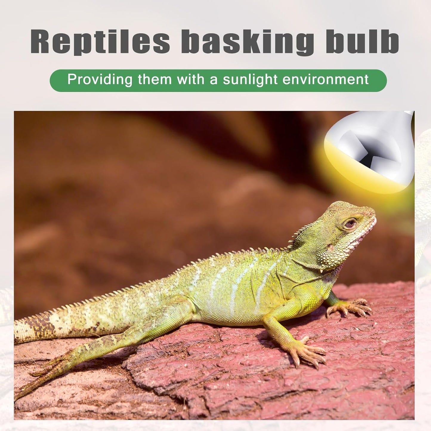 VIHOSE 8 Pack 250 Watt Heat Lamp 120v R40 Heat Lamp Bulbs Glass Incandescent Light Bulbs Incandescent Heating Lightbulbs for Reptiles Chicks Food Puppies Bathroom, Use E26 Base (Silver)