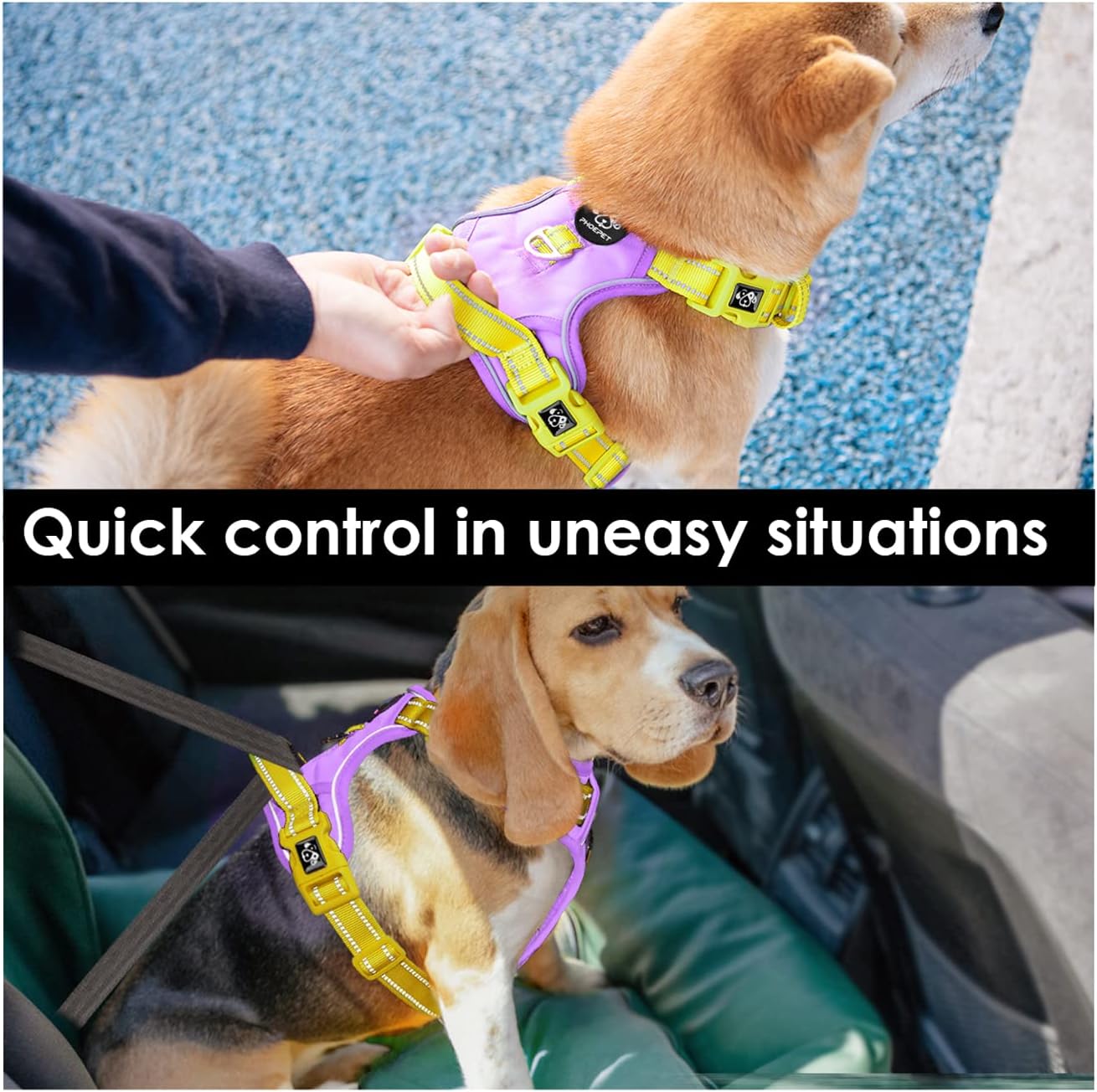 PHOEPET No Pull Dog Harness, Unique Colors Reflective Adjustable Dog Vest, with Soft Training Handle Metal Clips for Small Medium Large Dogs (Baby Purple Base & Yellow Straps,XL)