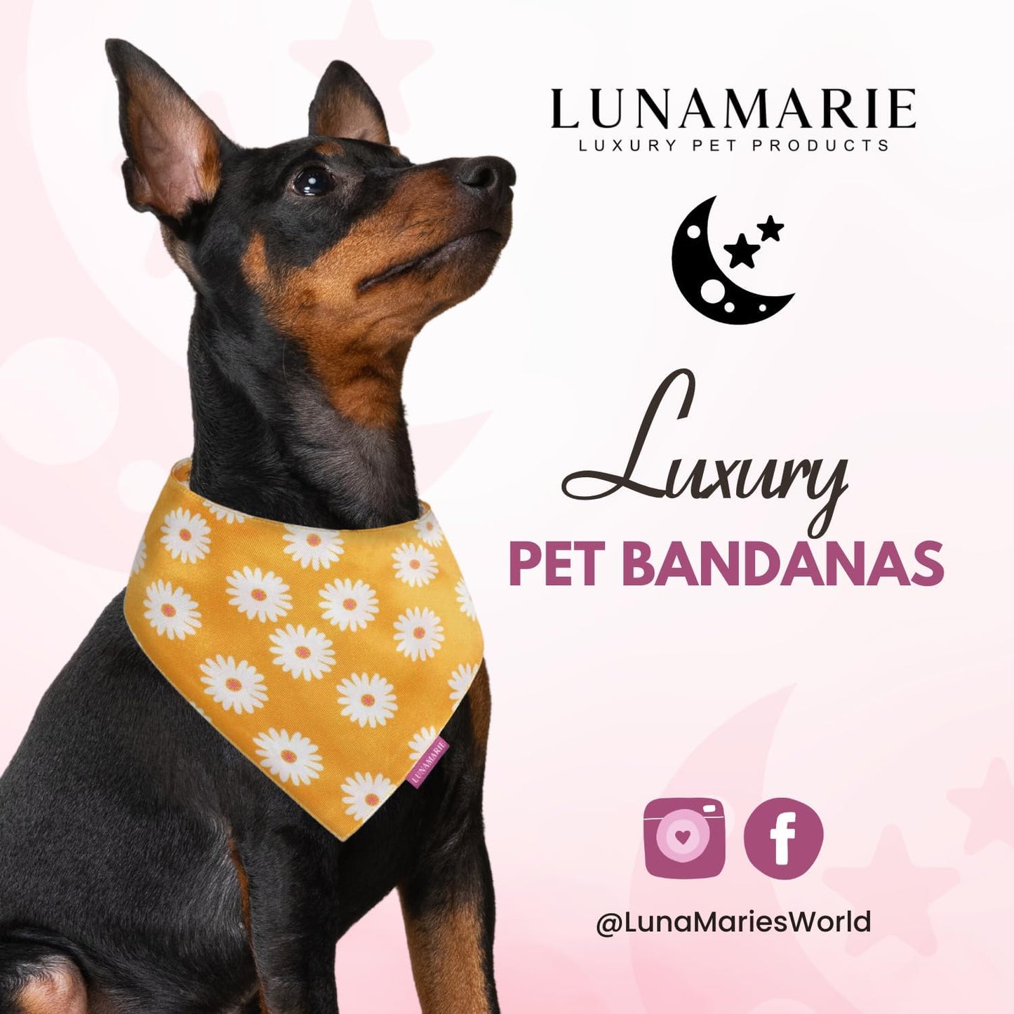 LunaMarie - Luxury Pet Birthday Bandanas -Premium & Silky Poly Fabric | 100% Handmade | Custom Shape Dual Layered (Daisies, Large)