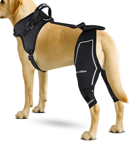 Comfortable Dog Knee Brace for Both Hind Legs with Harness - for ACL Tear, Luxating Patellae, Osteoarthritis & Instability - for Recovery & Injury Prevention in Active/Aging Dogs - (Medium)