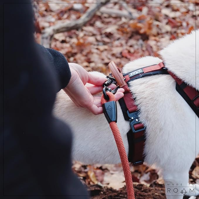 MADE TO ROAM Premium Explorer Harness - Y-Shaped Dog Harness with Adjustable Durable Nylon, Soft Padding, Metal Buckles and Leather Handle for Small, Medium, Large Dogs (New York Afterlight, Size 5)
