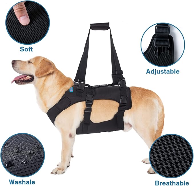 Dog Lift Harness, Rehabilitation Lifts Vest for Dogs, Support & Recovery Sling, Adjustable Breathable Lifting Straps for Old, Joint Injuries, Arthritis, Paralysis Dogs Walk (2XL, Black)