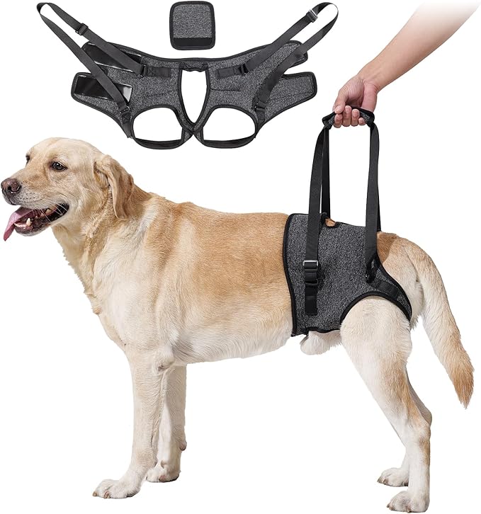 HEYWEAN Dog Sling for Large Dogs Hind Leg Support Harness Ideal for Elderly Injured Arthritic Dogs Provides Rehabilitation Aid for Weak Back Legs Comfortable and Durable Design