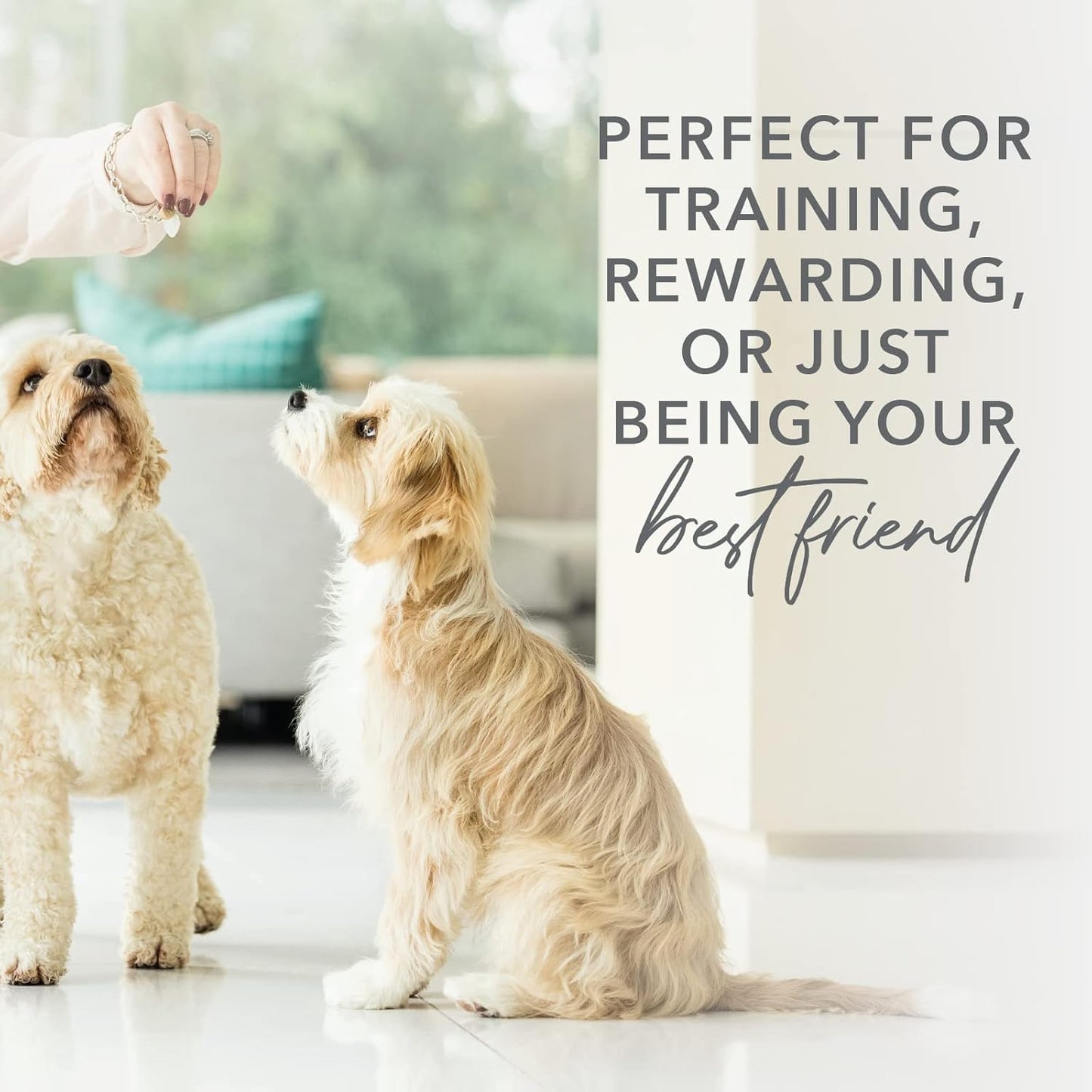 K9 Natural, Freeze-Dried Single Ingredient Dog Treats, High-Value, Low-Calorie Protein Bites for Active Dogs, Healthy Dog Training Treats, Grain-Free Reward, Green Mussles, 1.76oz (Pack of 2)