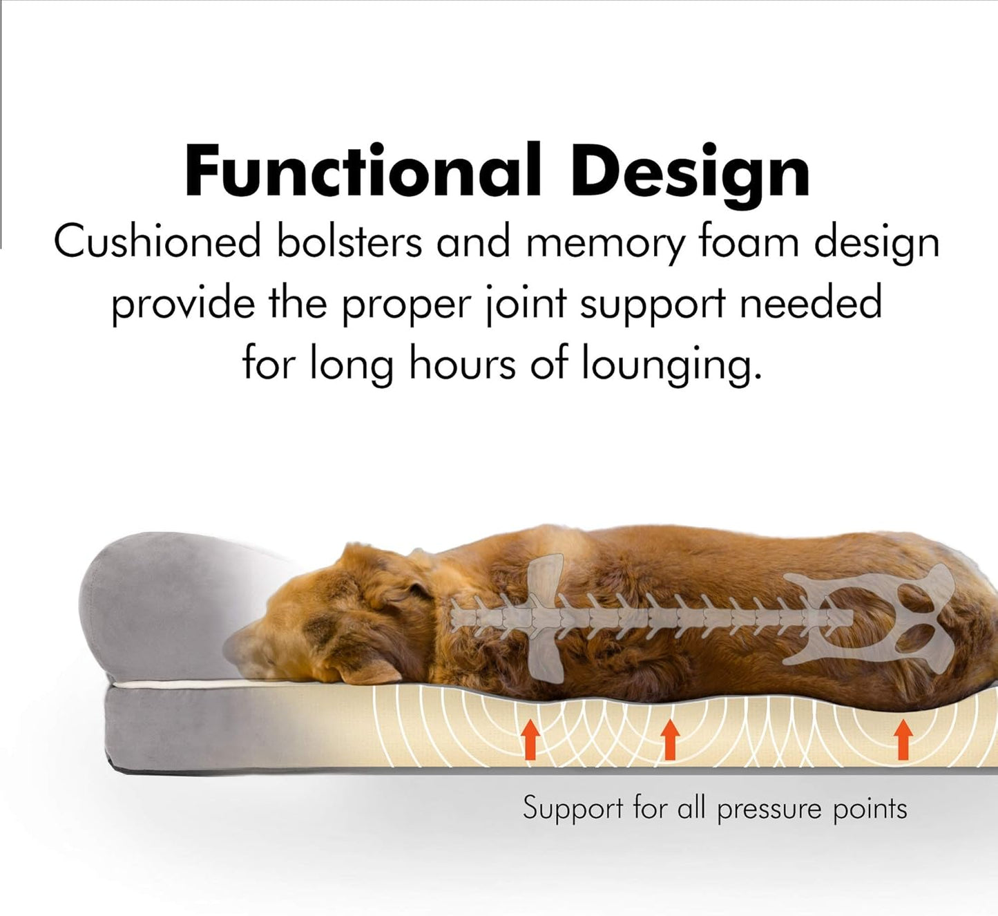 Friends Forever Small Dog Bed, Orthopedic Sofa Memory Foam Mattress, Calming Couch, Wall Rim Pillow, Water Resistant Liner, Washable Cover, Non-Slip Bottom, Chester, Small Khaki Beige