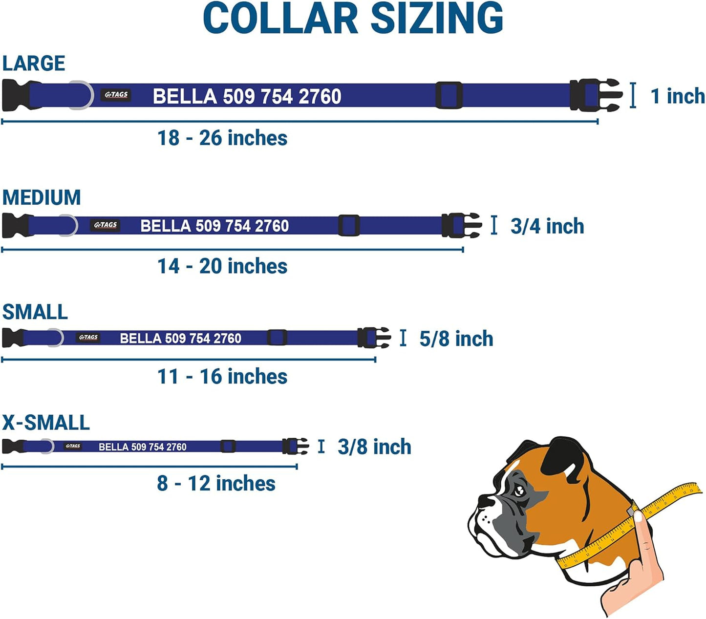 GoTags Personalized Dog Collar with Nameplate, Adjustable Dog Collar with Custom Engraved Slide On Pet ID Tag in Stainless Steel, Silent, No Noise Dog Tag for Large Medium and Small (Blue, Large)