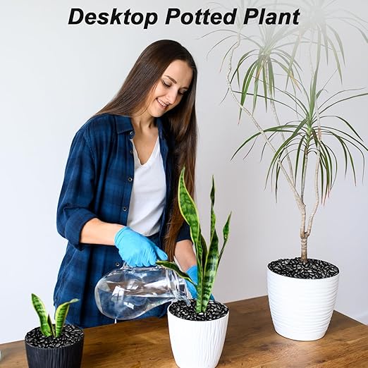 Pebbles for Indoor Plants,Virekm River Rocks,Decorative Ornamental Pebbles,Garden Landscaping Stones Gravel Filler for Home Decoration Flower Bed Fish Tank Plants Vases Succulents (10 Pounds)