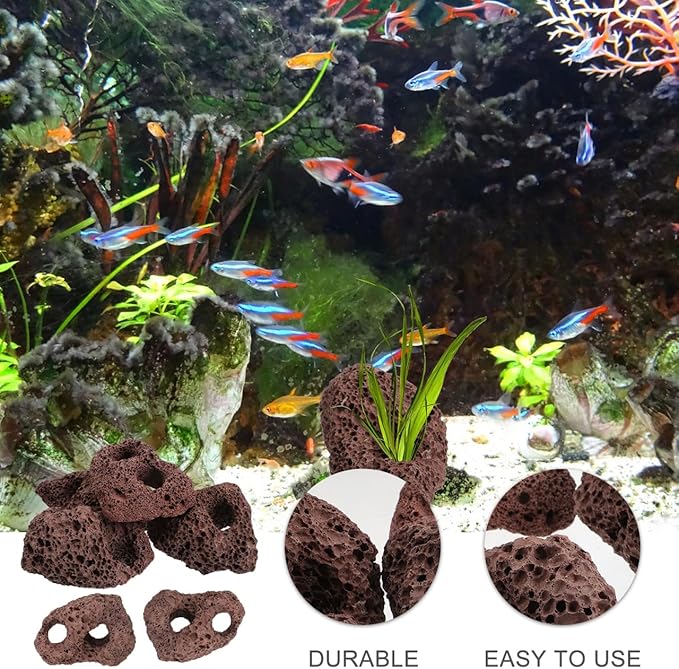 Housoutil Lava Rock Aquarium, 6PCS Aquarium Volcanic Stone Plant Fixer Ornaments, Double-Hole Fish Tank Rocks Ornament for Aquascaping, Fish Tank, Terrarium and Landscape Design