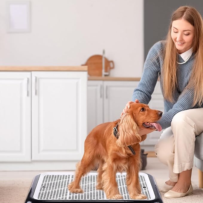 Mifoci 2 Pcs Dog Pee Pad Holder Potty Tray Portable Dog Litter Box Toilet Training for Indoor Outdoor Small Medium Large Pet Puppy(25.6 x 18.9 Inch)