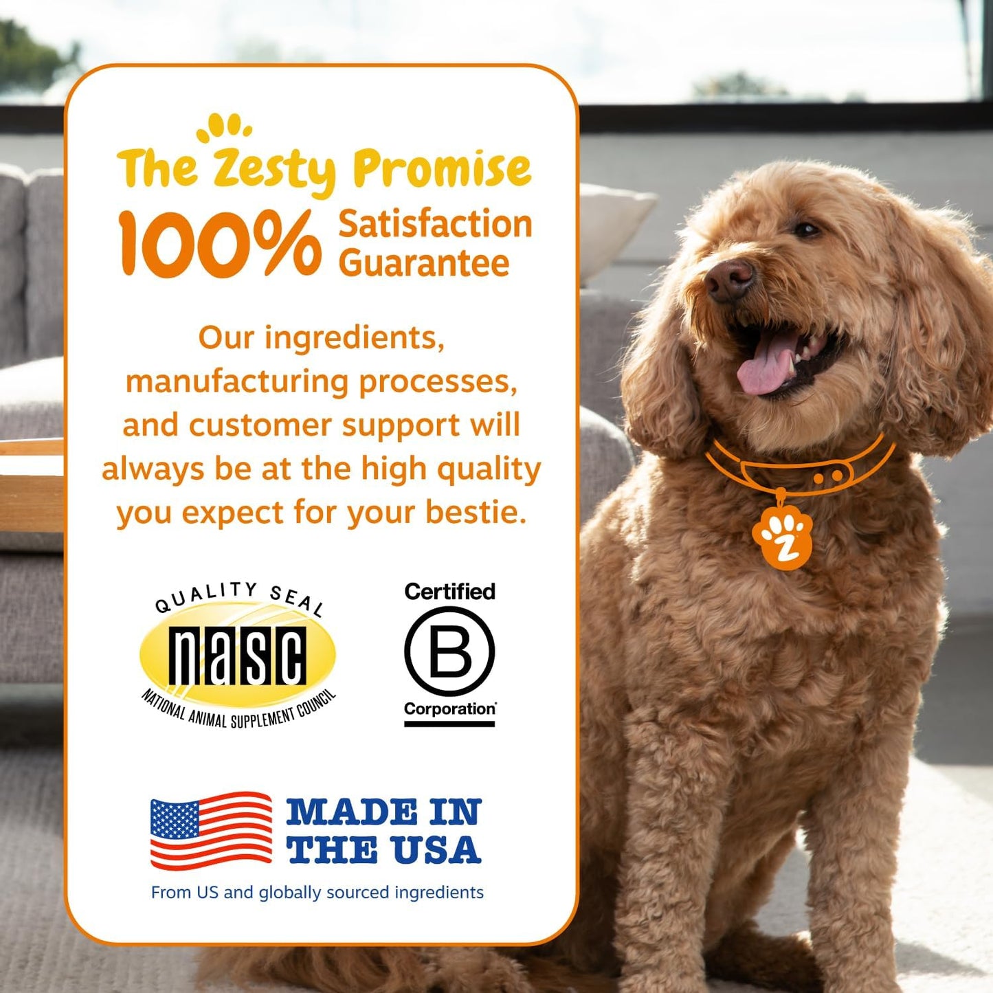 Zesty Paws Probiotics for Dogs, Digestive Enzymes Gut Flora, Digestive Health, Diarrhea & Bowel Support, DE111, Dog Probiotic Soft Chew for Pet Immune System, Pumpkin, 250 Ct