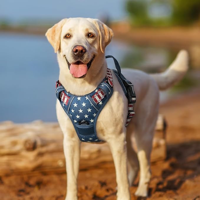 rabbitgoo Dog Harness No Pull with 2 Leash Clips, Adjustable Soft Padded, Reflective Oxford No Choke Pet Vest with Easy Control Handle for Large Dogs, Blue Star, M