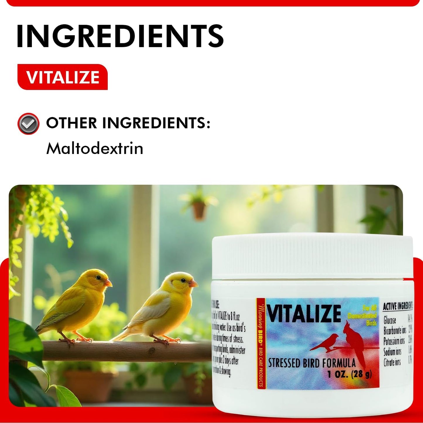 Morning Bird Vitalize, Supplement for Sick, Injured, or Stressed Caged Birds; Dehydration and Exhaustion Treatment for Parakeets, Cockatiels, Budgies, Finches, Canaries, and Parrots, 1 oz