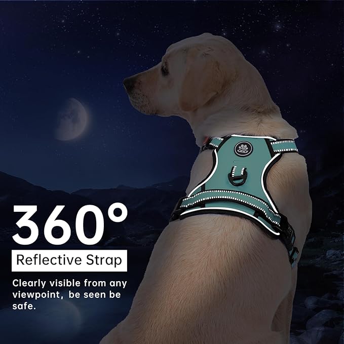 IVY&LANE No Pull Dog Harness with Leash Set, Reflective No Choke Pet Vest,Adjustable Oxford Dog Vest Harness with Easy Control Handle for Large Dogs (Turquoise,L)