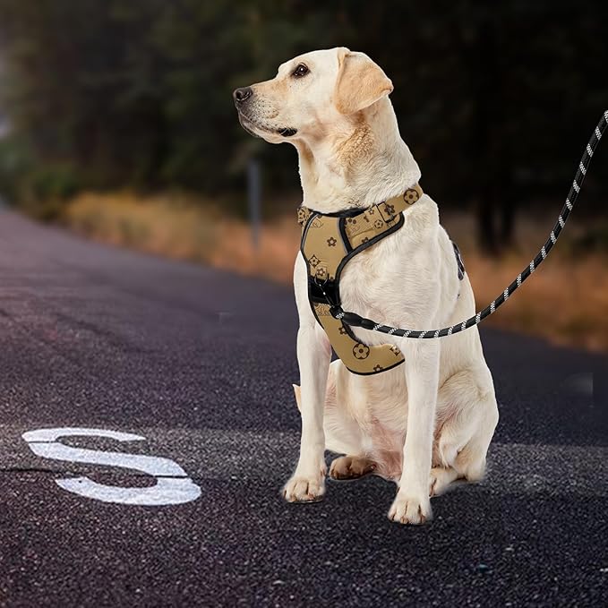 IVY&LANE No Pull Dog Harness with Leash Set, Reflective No Choke Pet Vest,Adjustable Oxford Dog Vest Harness with Easy Control Handle for Medium Dogs (Light Brown,M)