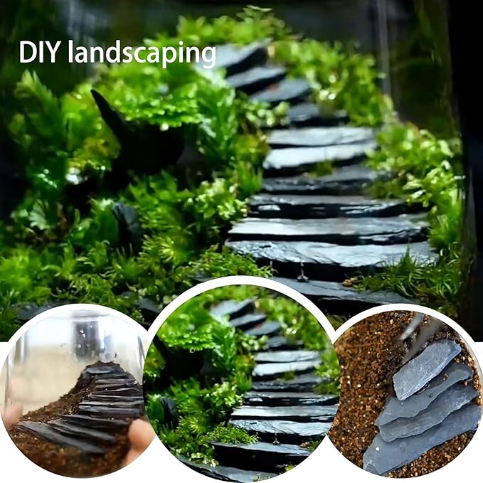 Natural Slate Stone Rocks 2 to 6 inch Aquariums Stone for Aquascaping,Terrariums,Reptile Enclosures,Paludariums, and Gardens-10lb