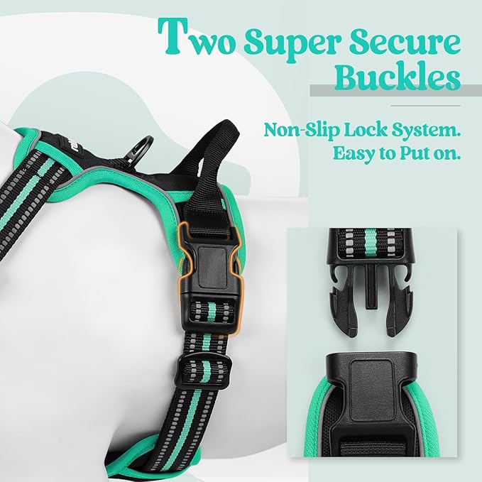 rabbitgoo Dog Harness No Pull with 2 Leash Clips, Adjustable Soft Padded, Reflective Oxford No Choke Pet Vest with Easy Control Handle for Medium Sized Dogs, Black & Turquoise, M