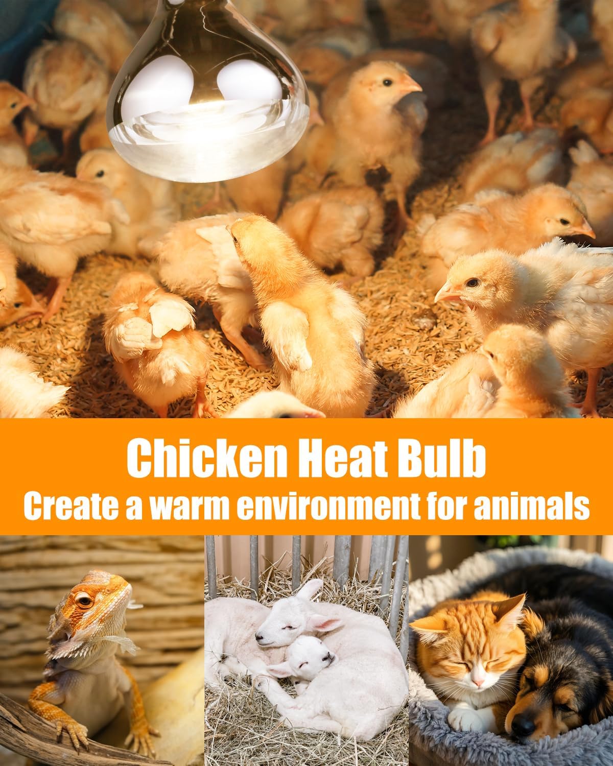 250W Heat Lamp Bulbs, 8000 Hours Rated, R40 Bathroom Shower Incandescent Light Bulb, Infrared Heating for Chickens, Reptiles, Pets, Food, E26 Base, 2 Pack