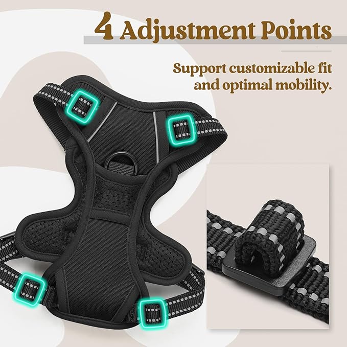 rabbitgoo Dog Harness No Pull with 2 Leash Clips, Adjustable Soft Padded, Reflective Oxford No Choke Pet Vest with Easy Control Handle for Puppy, Black, XS