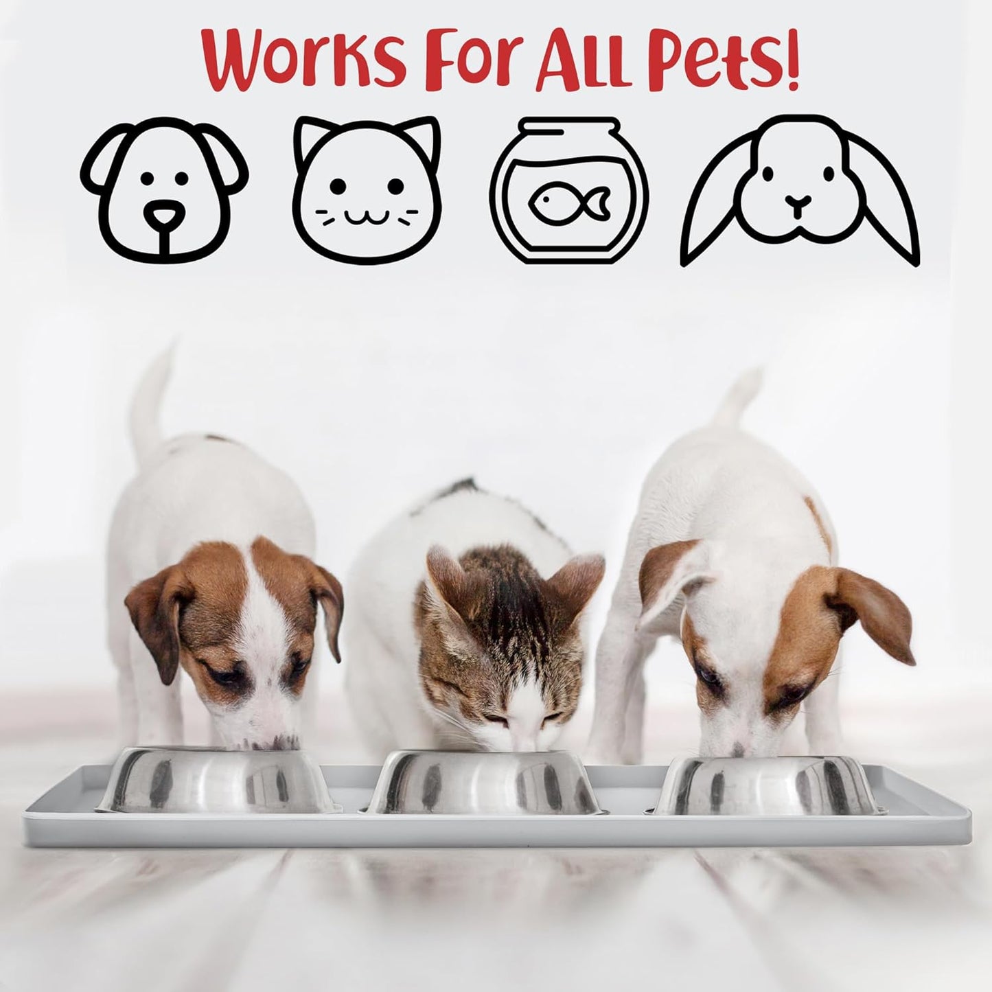 DogBuddy Dog Food Mat – Waterproof Dog Bowl Mat for Food and Water, Silicone Pet Feeding Mats for Floors, Non-Slip Placemat with High Edges for Dogs Bowls, Puppy Essentials (Small: 19"x12", Mist)