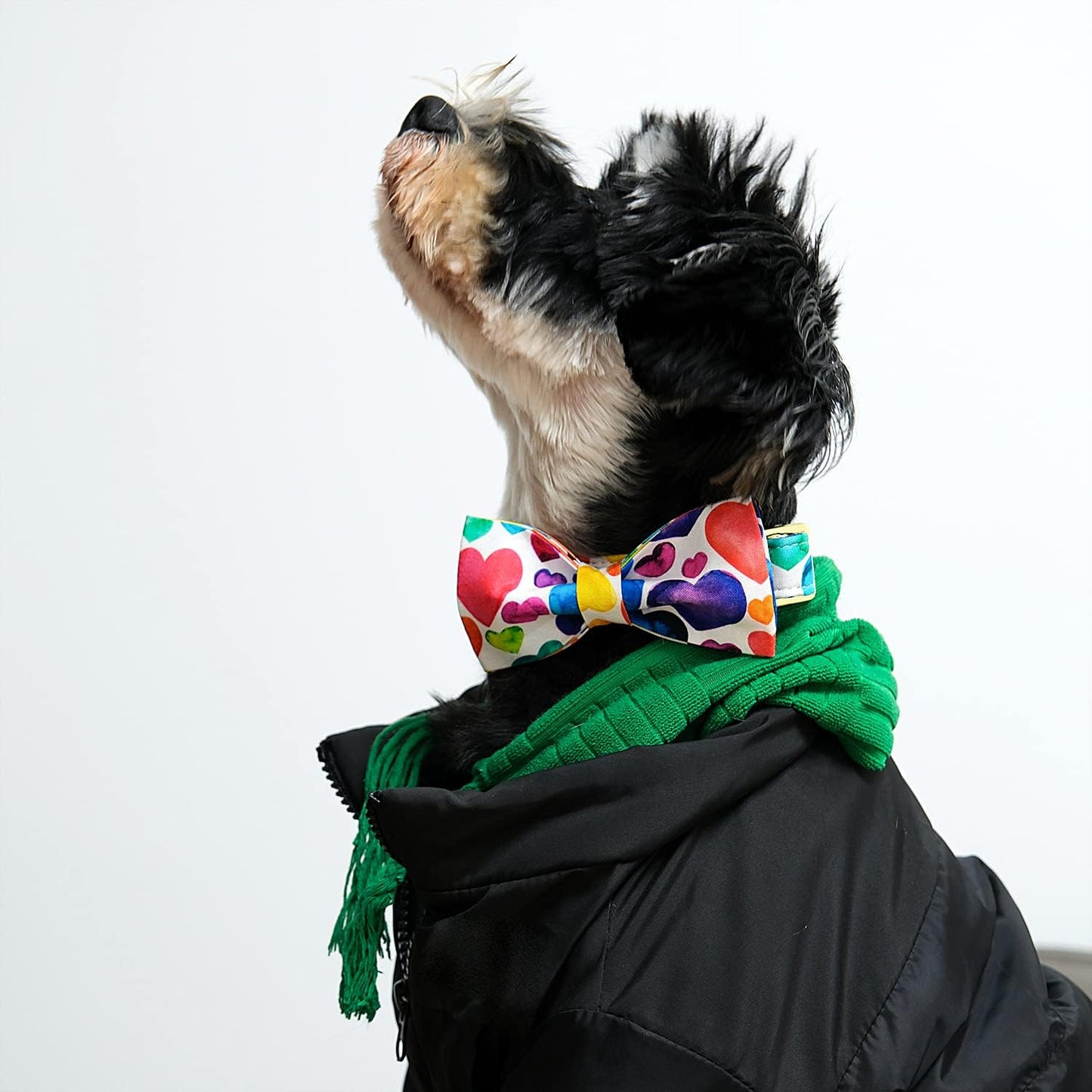 Lionet Paws Valentine's Day Dog Collar with Bowtie, Soft and Comfortable, Adjustable Collar for X-Large Dogs, Neck 16-26 inches