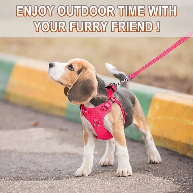 Dog Harness Step in Dog Vest Harness, Reflective Adjustable Puppy No Pull Harness Breathable Soft for Small and Medium Dogs Cats, Pink, XXS