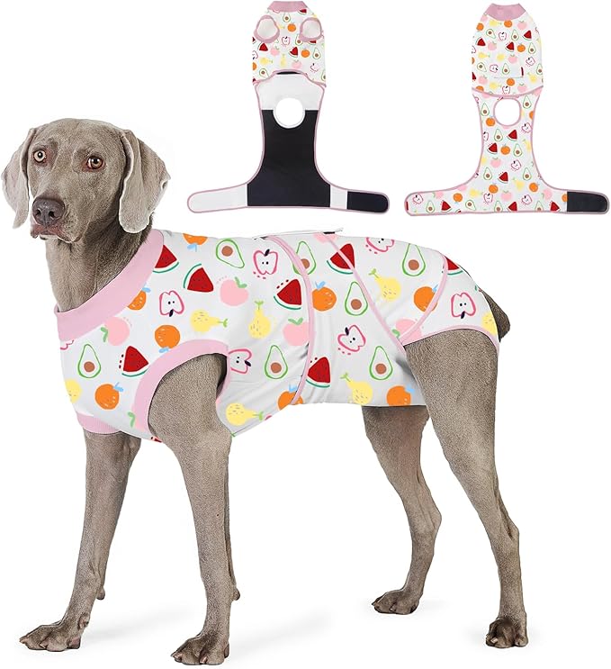 Recovery Suit for Dogs After Surgery, Professional Dog Surgical Suit for Female Spay, Male Neuter, E-Collar & Cone Alternative Dog Onesie for Abdominal Wounds Skin Disease, Fruit, S