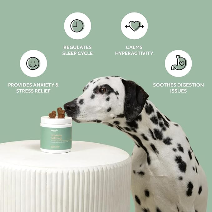 Reggie Anytime Calming Chews for Dogs | Natural Calming Dog Treats to Reduce Hyperactivity, Separation Anxiety, & Stress | Vet-Approved & Ideal for All Ages, Breeds, and Sizes (120 Count)