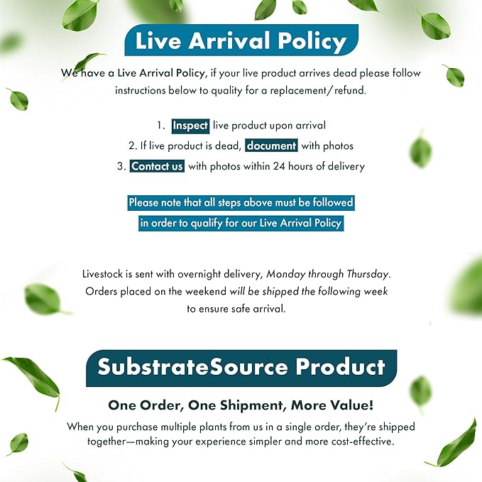 Live Plant - Tall Grass, Corkscrew Vallisneria - Easy Care, Moderate to High Light, Bright Green Accent, Freshwater Aquatic Plant for Aquascaping - Lead Bunch