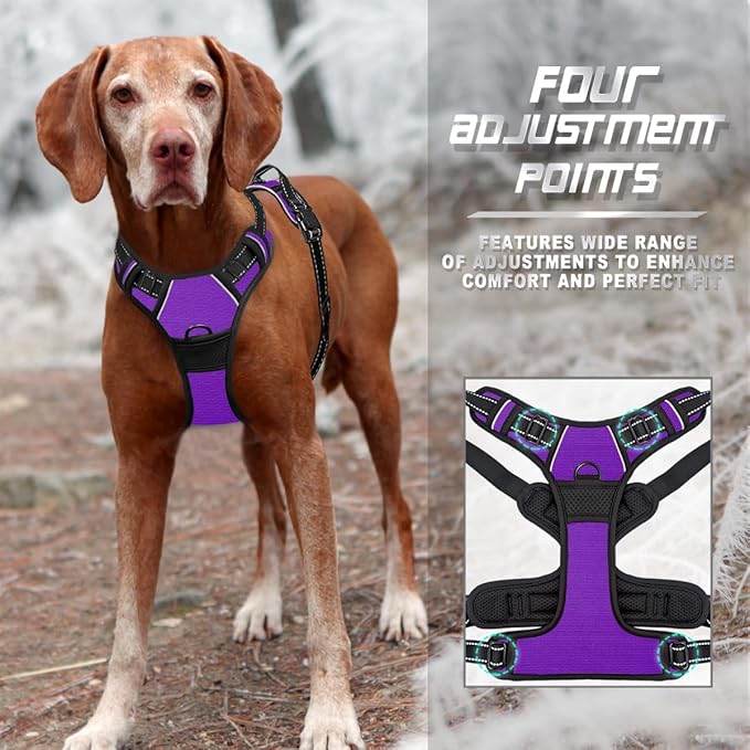 BARKBAY No Pull Dog Harness Front Clip Heavy Duty Reflective Easy Control Handle for Large Dog Walking(Purple,M)