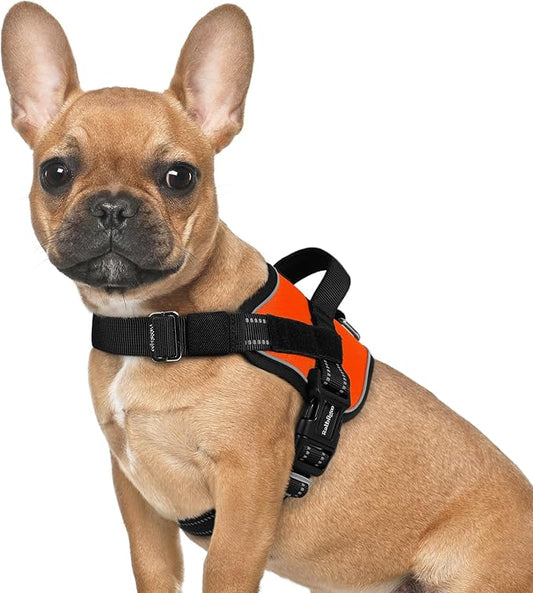 rabbitgoo Dog Harness for Small, Easy On Pet Vest with One Buckle, No Pull Adjustable Service Harness with D-Ring & Handle, Reflective for Safety Walking, Training, Orange, S