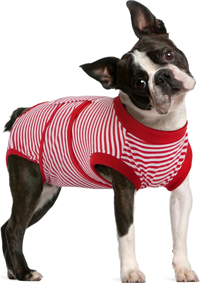 FUAMEY Dog Recovery Suit Male,Dogs Surgery Neuter Suits Puppy Spay Shirts for Female Protect Dog's Skin Anti Licking Abdominal Wounds Doggie Onesie Pet Bodysuit Alternative to Cone Red Stripes L