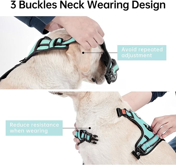 IVY&LANE No Pull Dog Harness with Leash Set, Reflective No Choke Pet Vest,Adjustable Oxford Dog Vest Harness with Easy Control Handle for Large Dogs (Turquoise,XL)