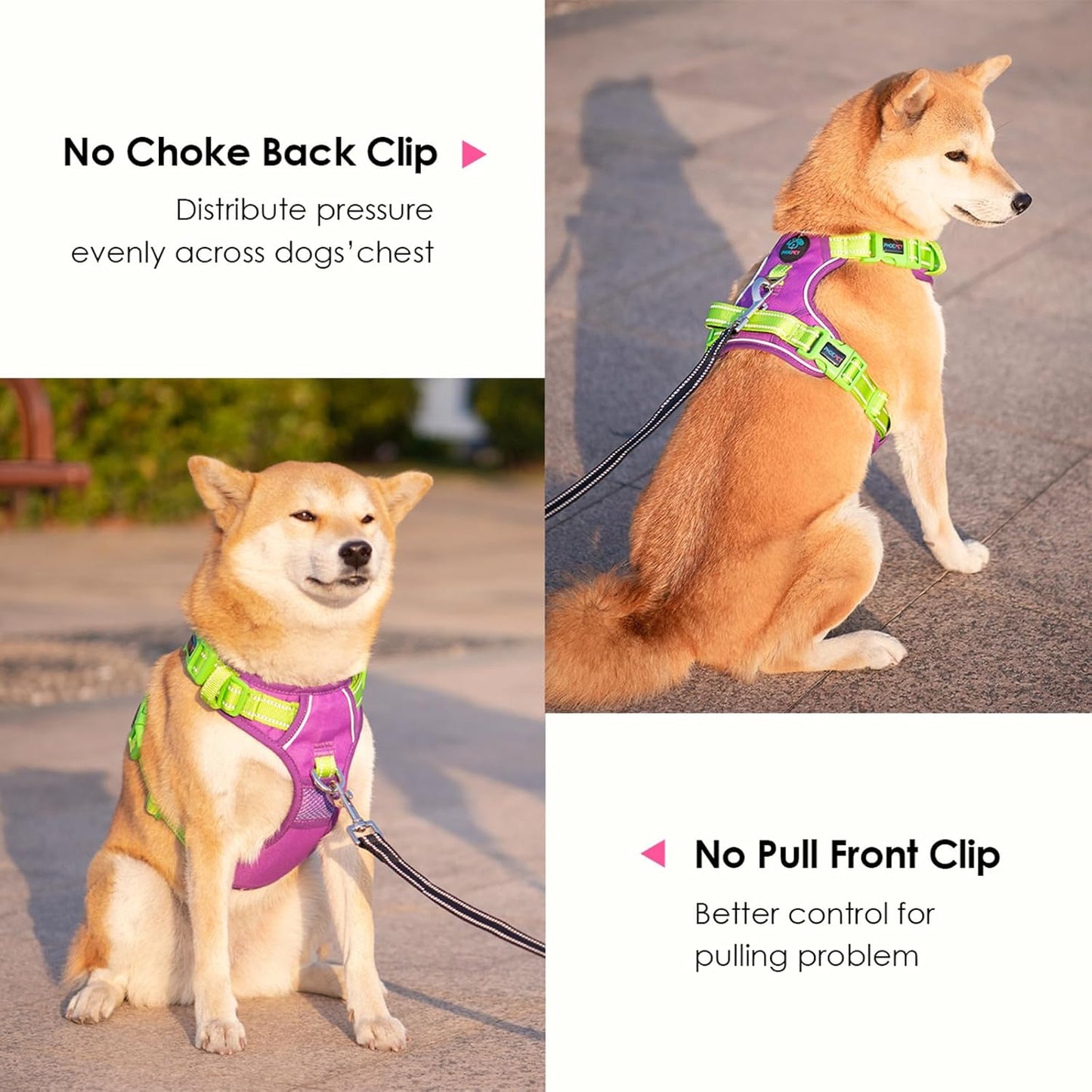 PHOEPET No Pull Dog Harness, Unique Colors Reflective Adjustable Dog Vest, with Soft Training Handle Metal Clips for Small Medium Large Dogs (Purple Base & Green Straps,S)