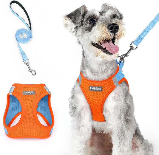 rabbitgoo Dog Harness Small Medium Sized and Leash Set, Step in Soft Light Puppy Vest, Breathable Mesh Pet Harness, Reflective for Safe Easy Walking, Blue & Orange XL