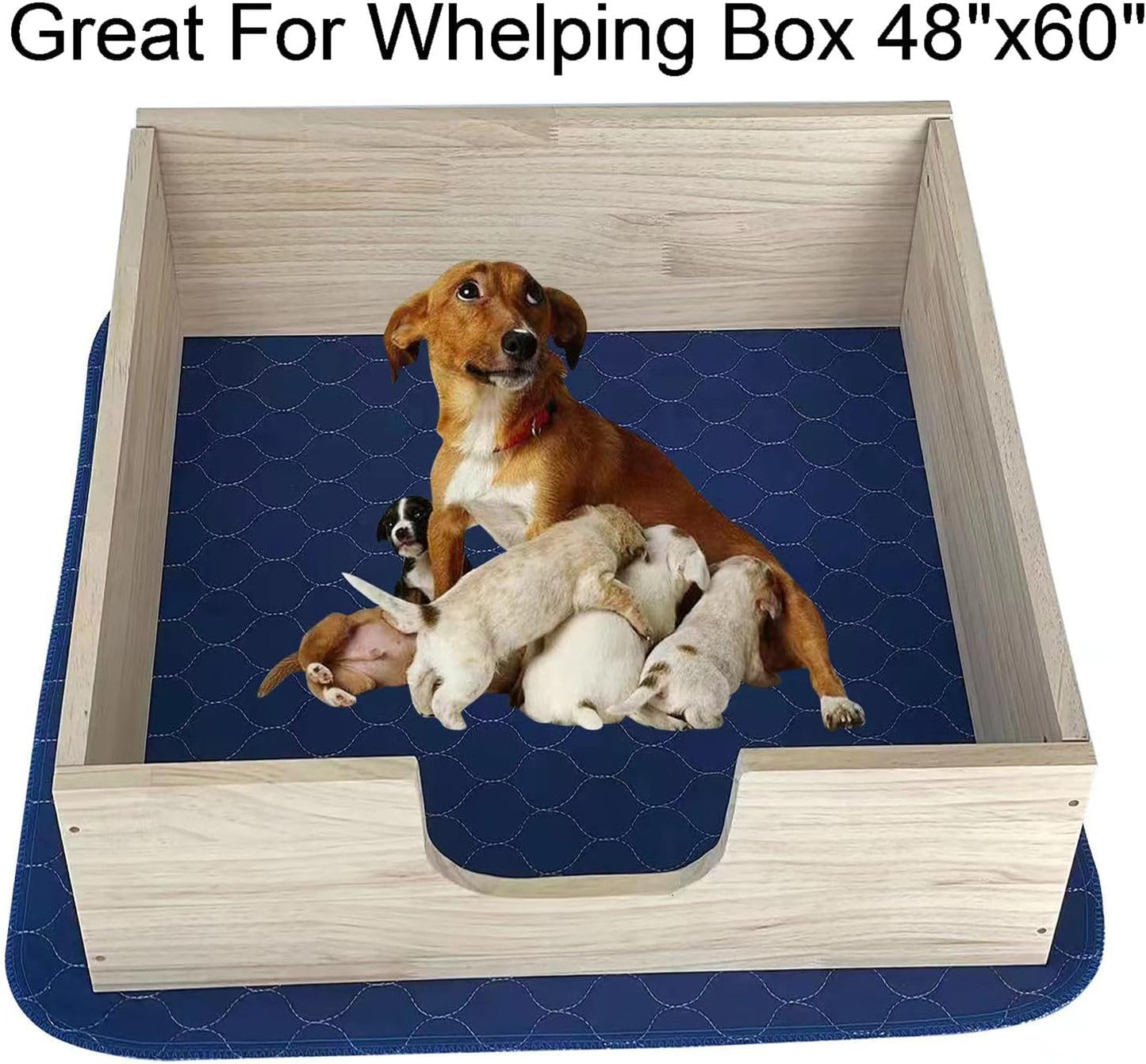 2Pack Dog Pads Washable 53”x65”, Extra Large Puppy Pads Waterproof, Super Absorption, Anti Skid Whelping Pad for Puppy Pen
